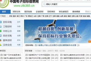 中国电子招标信息网